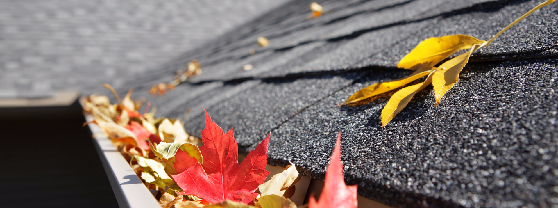 Pane in the Glass team performing house washing in Kerikeri, Northland.